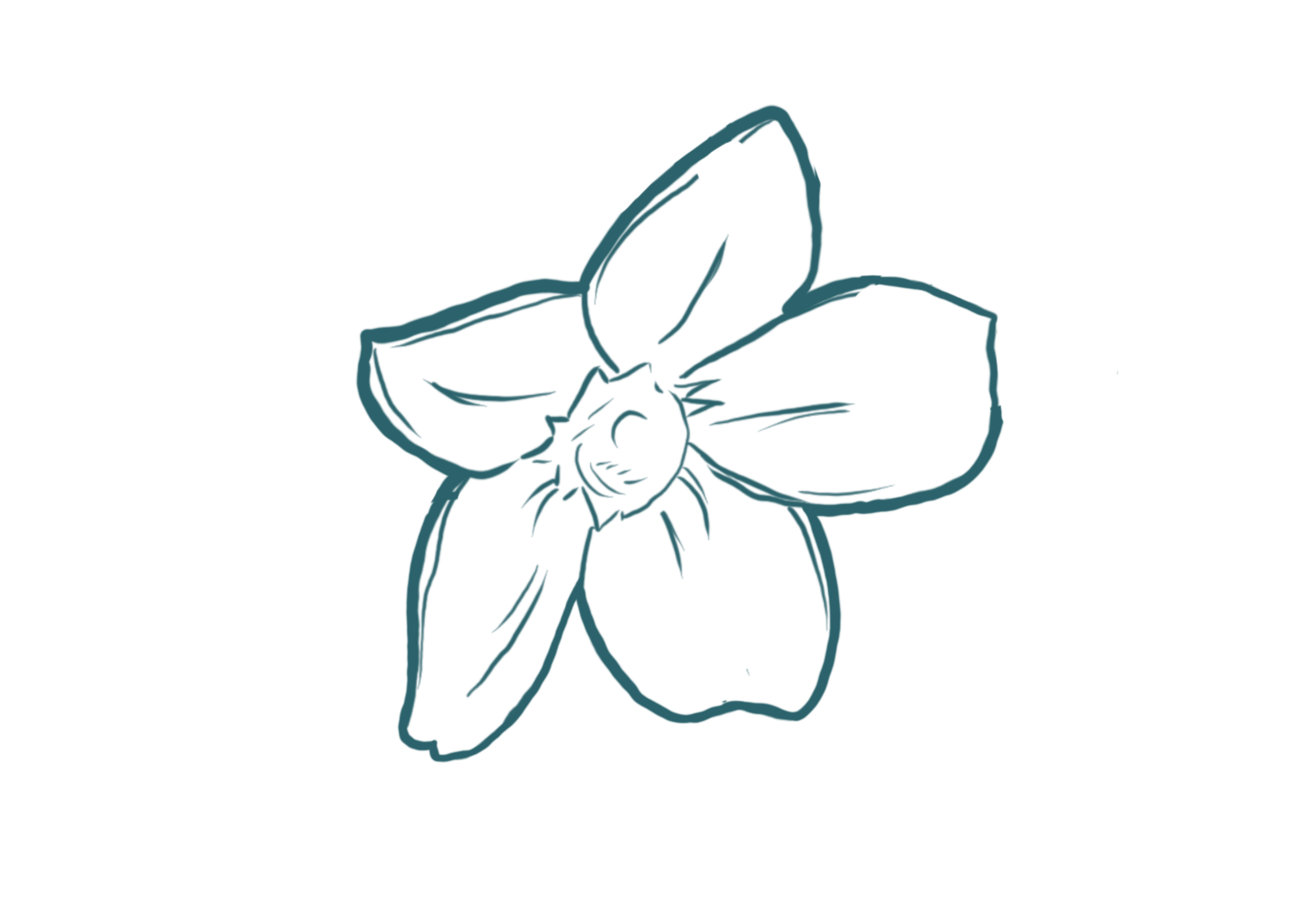 Illustration d'une fleure